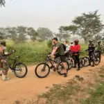 Flora und Fauna Facts - Bike Safari Lake Mburo Nationalpark - Life Cyclers Uganda