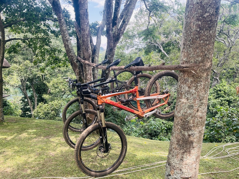Safari Bikes im Einsatz Safari Bikes im Einsatz