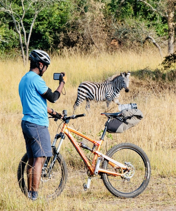 Bike Safari Mburo NP 3 Zebras Bike Safari Mburo